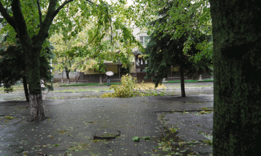 Азов: ураган обрушился ночью. Мощный ветер продолжает буйствовать
