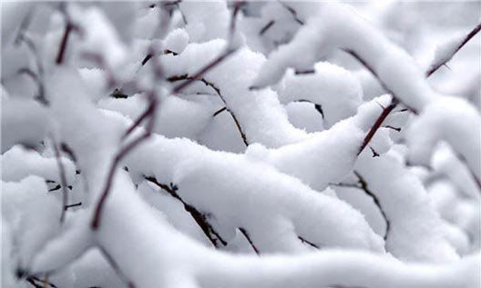 В Азове ночью ожидается большой снегопад