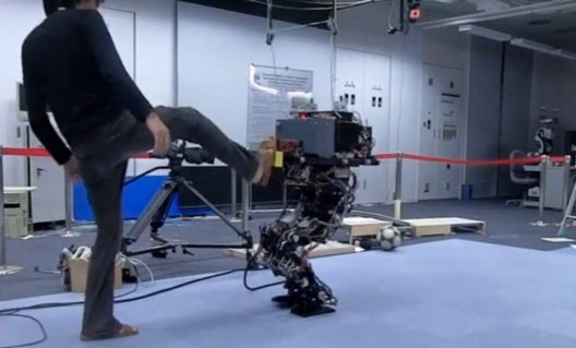 Роботов пинают, как собак (+видео)