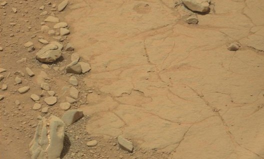 Динозавры на Марсе: если это не фейк, то это - сенсация!