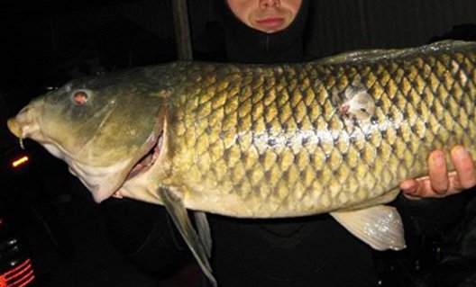 Где нельзя ловить рыбу в Ростовской области