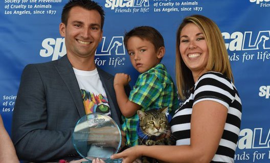 Кошка получила премию для собак-спасателей (+видео)