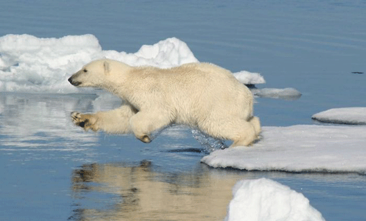 Американская разведка усилила наблюдение за Арктикой