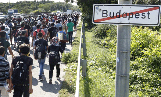 Венгры бросают еду беженцам (+видео)