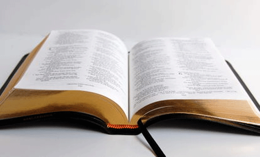 Житель Новосибирска пожаловался на Библию