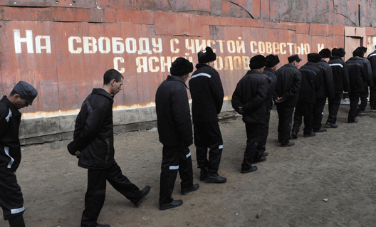Итоги амнистии-2015 на Дону