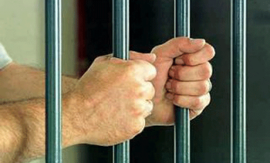Более 200 уголовных дел: на Дону осуждены преступники, продававшие героин