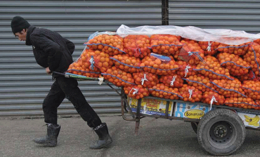 Абхазия увеличила поток мандаринов в Россию
