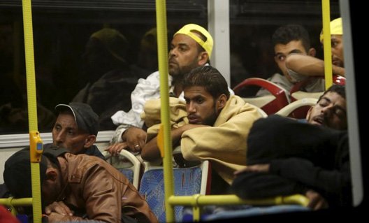 Баварский политик отправил Меркель автобус с беженцами