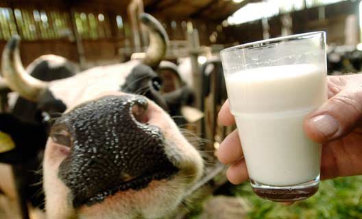 С молоком могут возникнуть проблемы