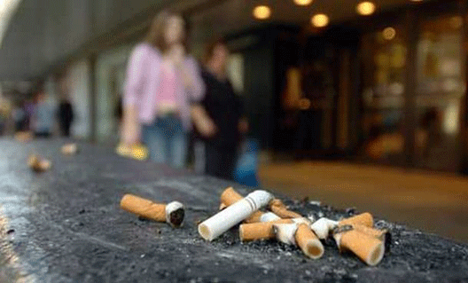 Поступило предложение о запрете курения на улицах