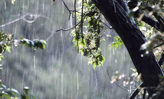 До 2 июня -  дожди, ливень, гроза, град и шквалы