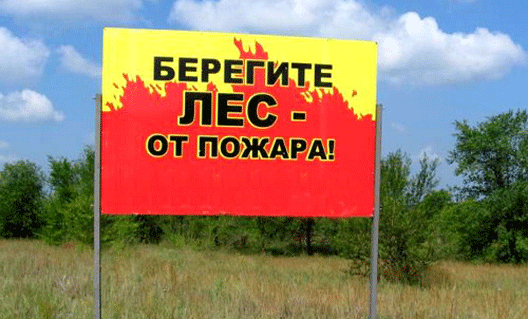 На Дону объявлена высокая пожароопасность