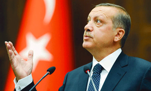 Эрдоган готов ввести в Турции смертную казнь
