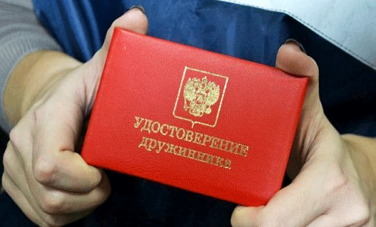 В Ростове-на-Дону будут выдавать премии народным дружинникам