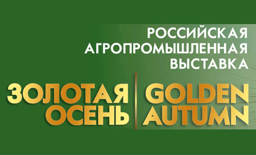 "Золотая осень-2016": награждена азовская журналистка Оксана Марченко