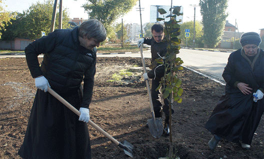 Азов: итоги Дня древонасаждения