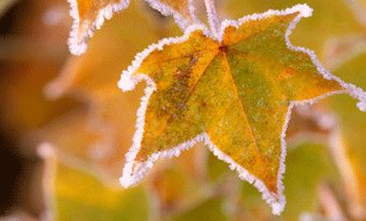Нынешний ноябрь - самый холодный в XXI веке