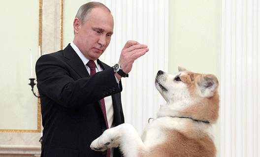 Путин показал японским журналистам "строгую" собаку