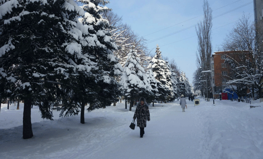 Азовчане ждут настоящую зиму (+11 фото)