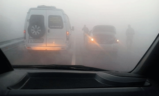 Ростовскую область ждет сильный туман