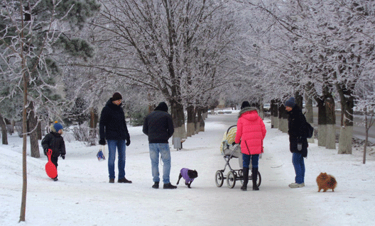 Дон: погода на выходные. Скоро весна...