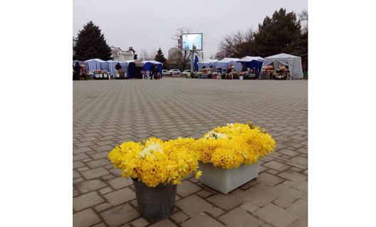 Азов: цветы у "Перекрестка"