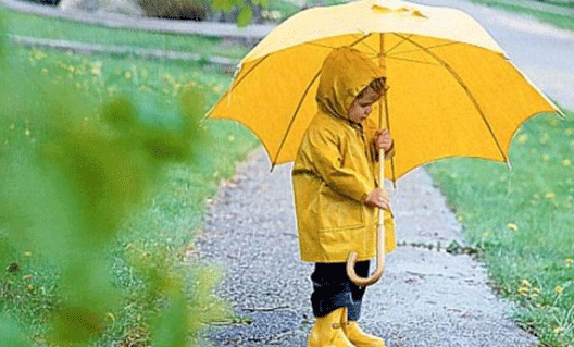 Погода на Дону: вновь дожди и не совсем тепло