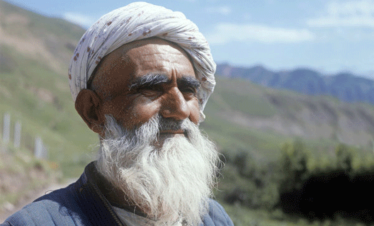 В Россию понаедут бородатые таджики?