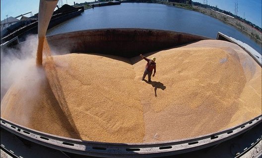 Дон: экспорт зерна увеличился почти в два раза