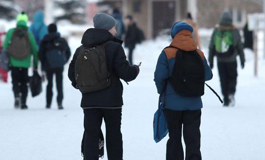 Ростов-на-Дону: неделя началась с отмены занятий во всех школах