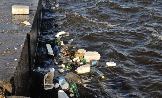 В Ростовской области не осталось водоемов с чистой водой