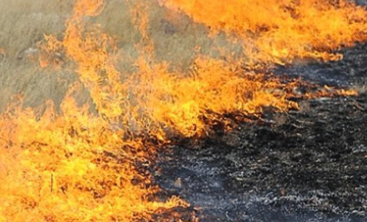 В Азовском районе с пожаром боролись 49 человек