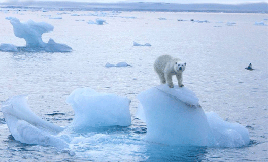 Арктика тает