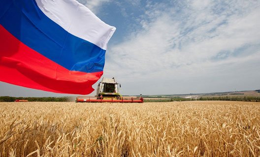National interest: Россия побеждает в санкционной войне