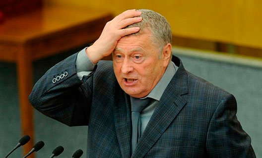 Жириновский предложил списать долги граждан по микрозаймам