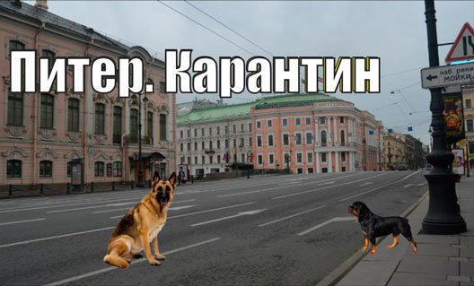 В Петербурге введен режим полной самоизоляции