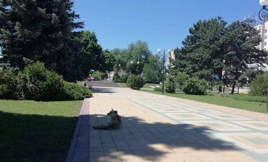 Азов: выходные будут жаркими