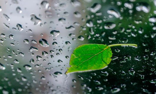 Азов: выходные начнутся с дождей, а закончатся жарой