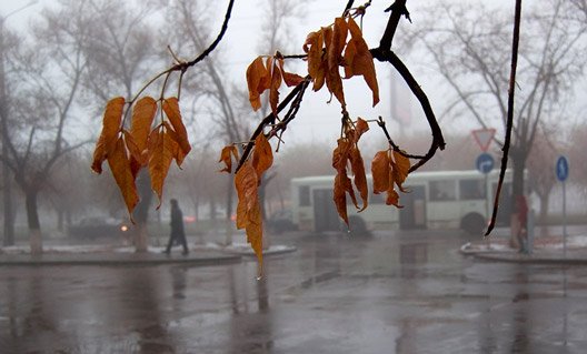 Азовчан на рабочей неделе ждет пасмурная и дождливая погода