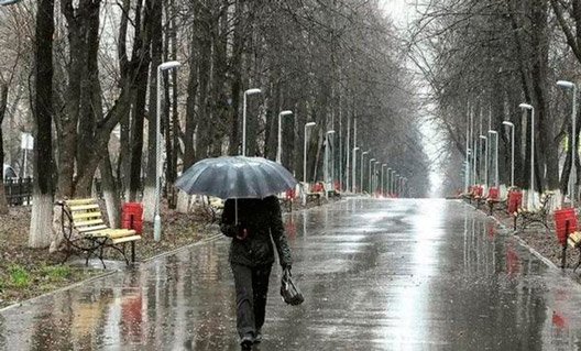 Ростов-на-Дону: погода в праздничные дни