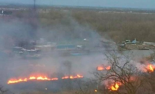 Азов: около подвесного моста горел камыш
