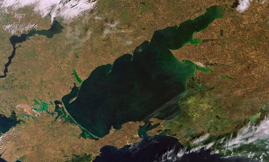 Азов: новый маркёр загрязнения Азовского моря и дельты реки Дон