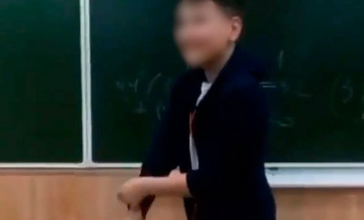 Таганрог: третьеклассник заявил на уроке, что изнасилует учительницу (+видео)