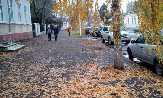 Дон: нас ждет резкое похолодание