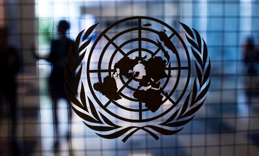 США: исключить Россию из Совбеза ООН невозможно