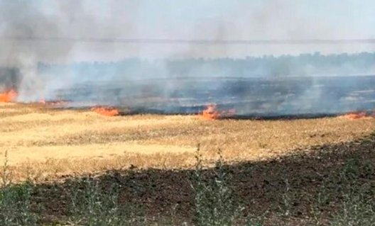 ВСУ пытаются поджечь пшеницу на Херсонщине
