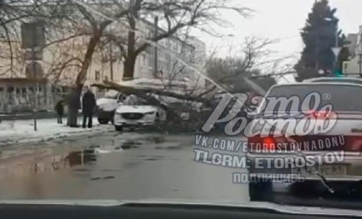 В Азове на ул. Мира на Mazda Сх5 упало дерево