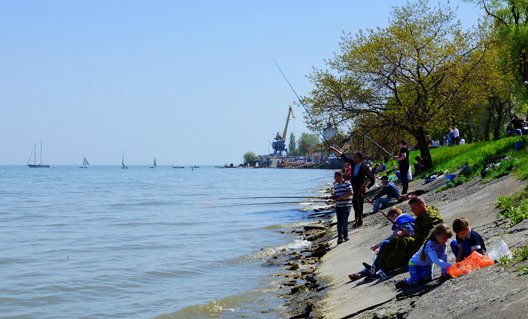Дон:  рыбакам позволят производить массовый вылов рыбы в Таганрогском заливе