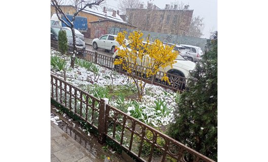 Первые дни апреля в Азове будут теплыми